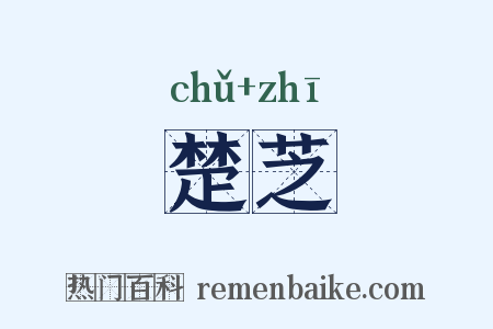 楚芝是什么意思的图片